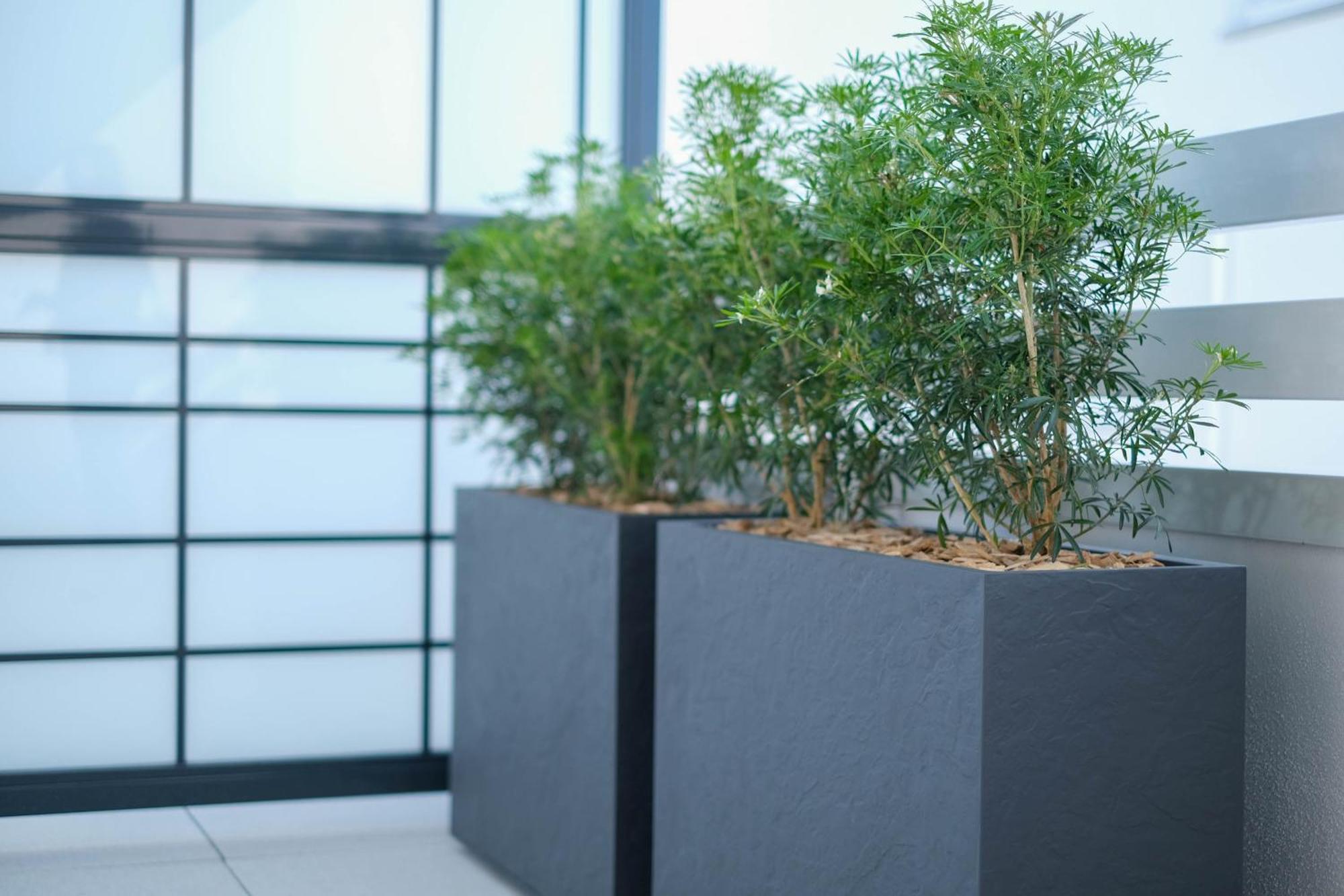 Eden Park - Appartement Terrasse 쉐시 외부 사진